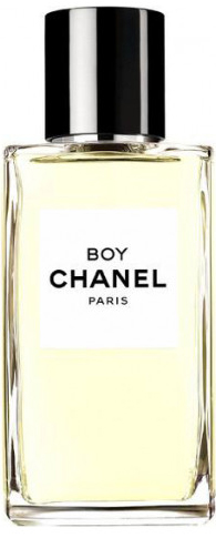 Chanel Boy Chanel